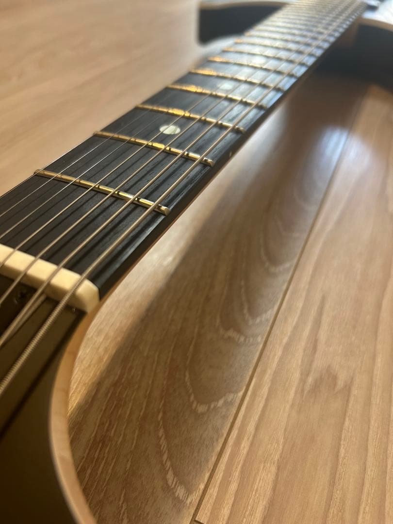 ギター FUJIGEN JMY72-ASH-E/OPB