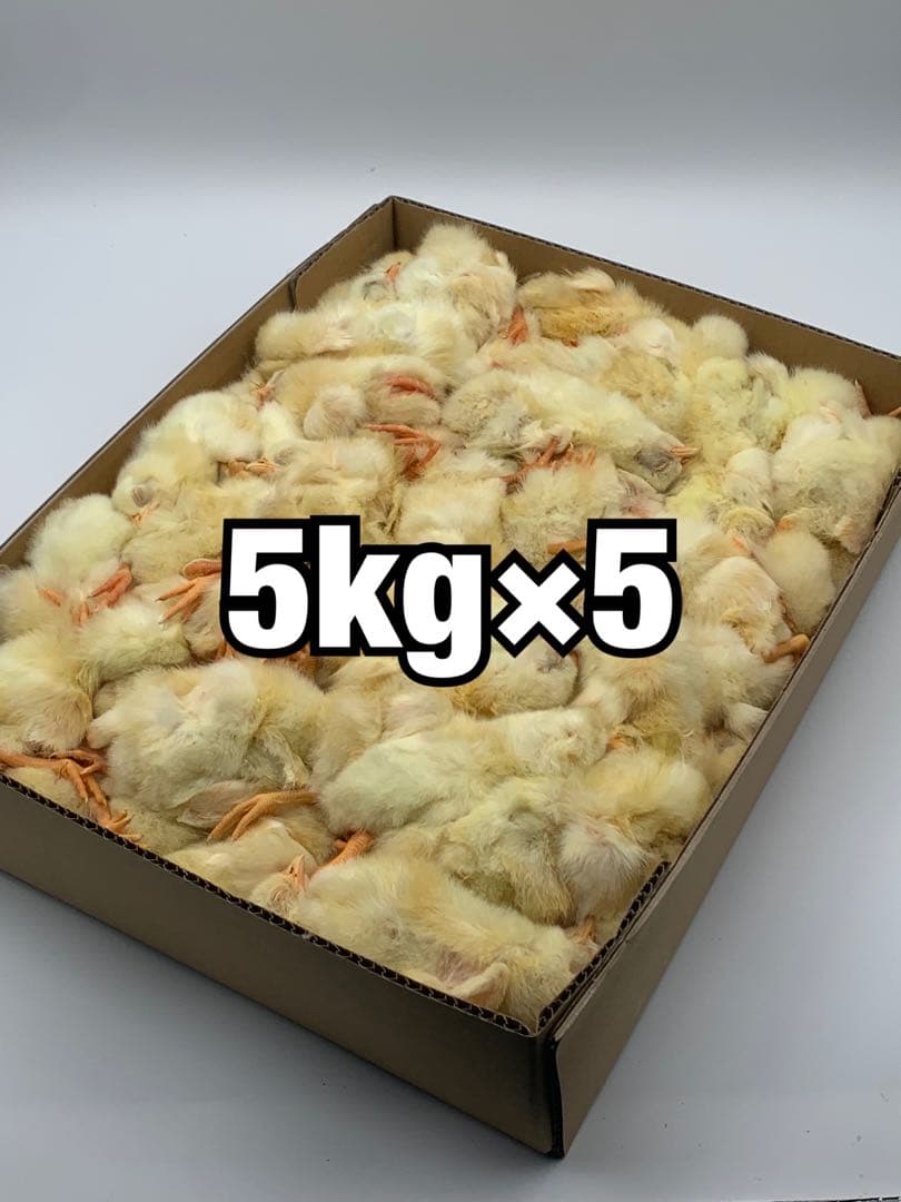 冷凍ヒヨコ5kg×5段【送料込】