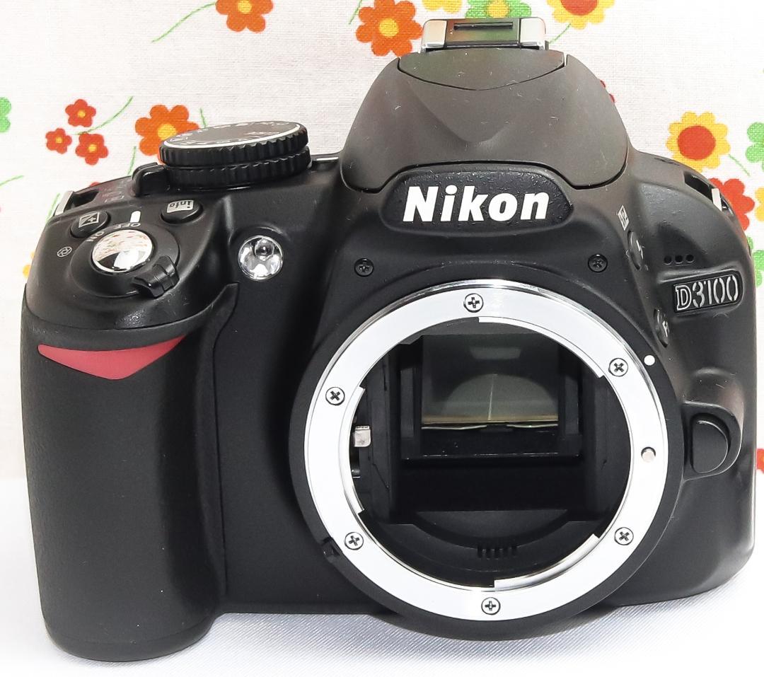 ニコン Nikon D3100☆スマホに転送♪☆手振れ補正付き☆初心者おススメ！