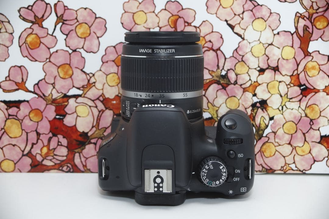 メメントモリ❤️初心者向け❤️キヤノン EOS kiss X4 レンズセット❤️