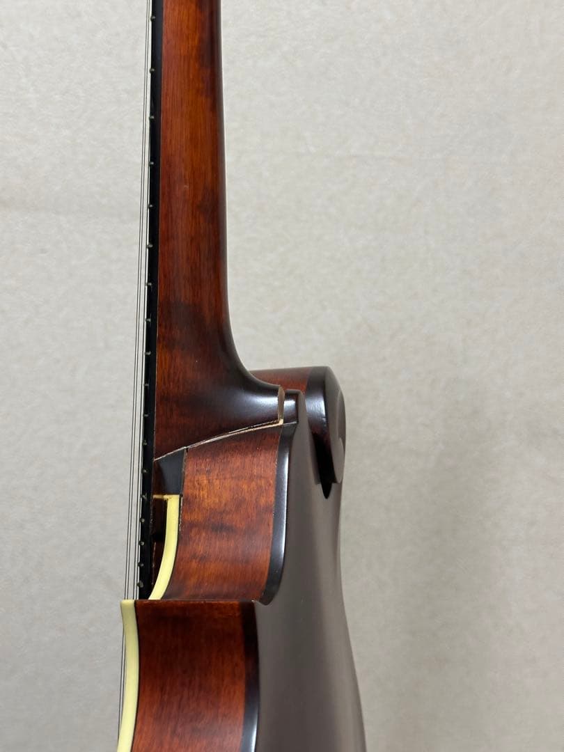 弦楽器 Eastman MD315/Antique Red