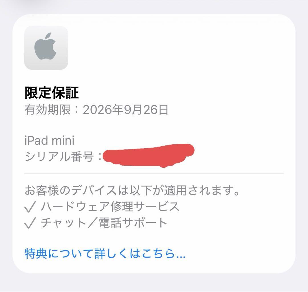 iPad mini 第7世代（A17 Pro）Wi-Fi 128GB ブルー