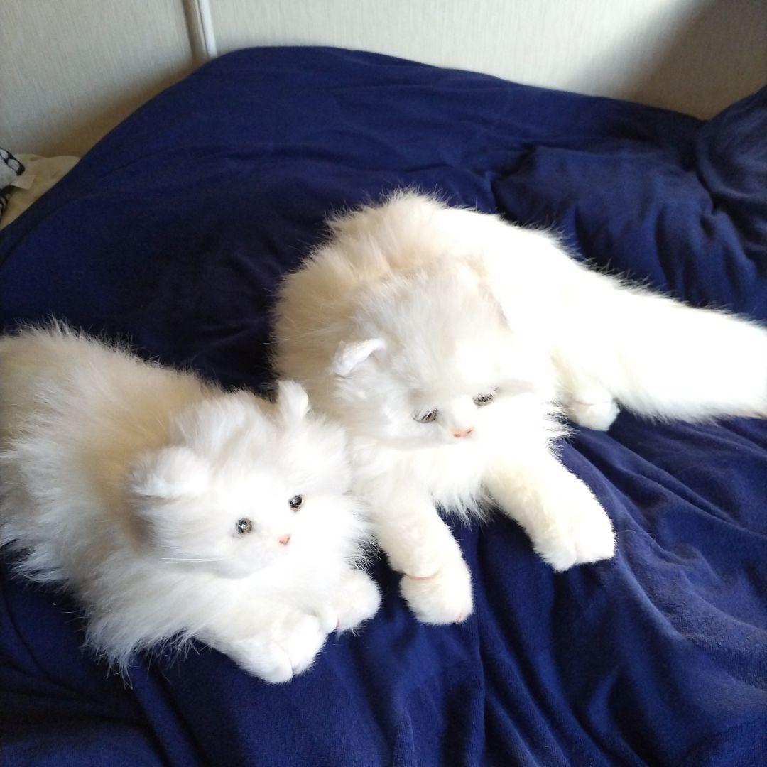 ペルシャM.Sサイズ　猫のぬいぐるみセット　約30年前の物です。