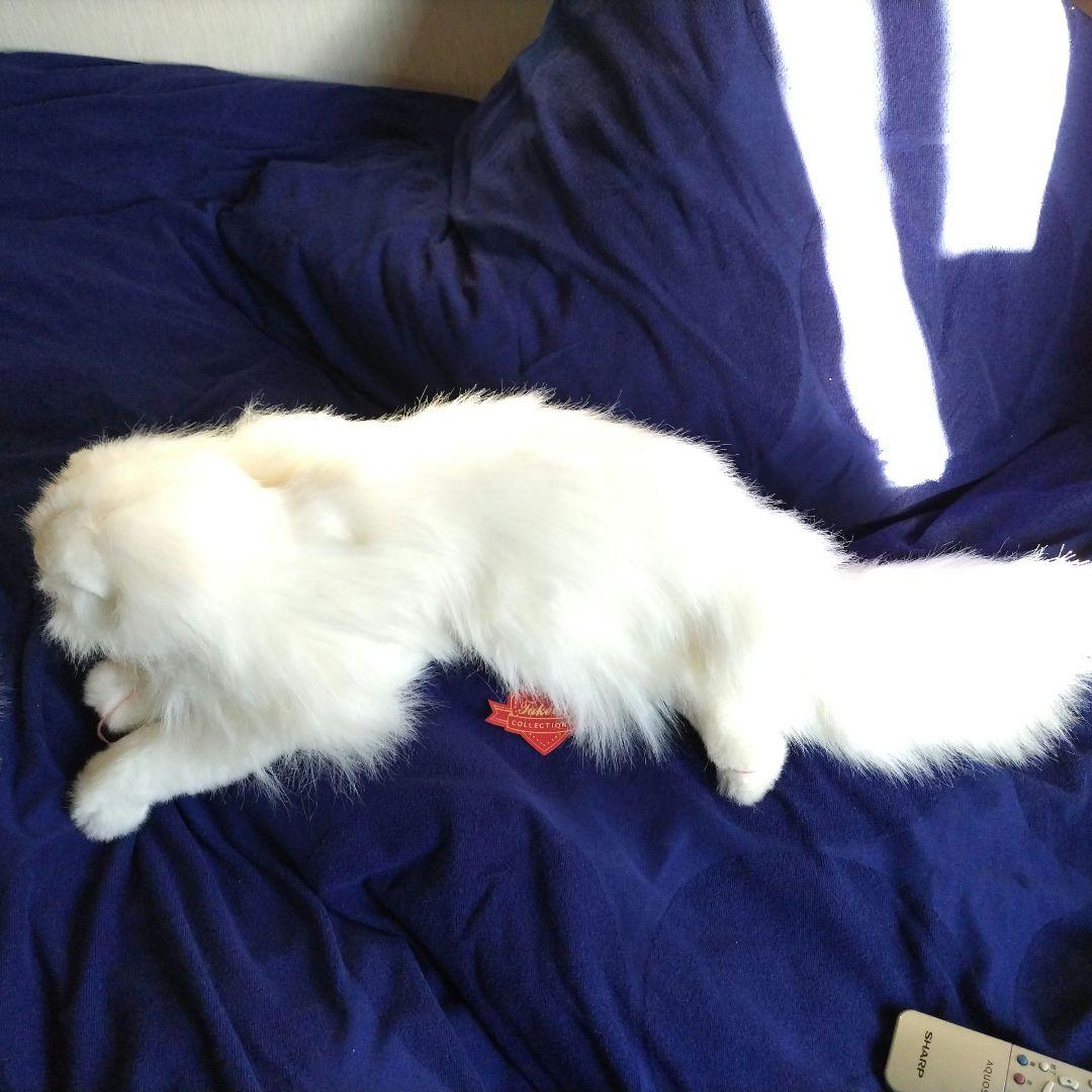 ペルシャM.Sサイズ　猫のぬいぐるみセット　約30年前の物です。