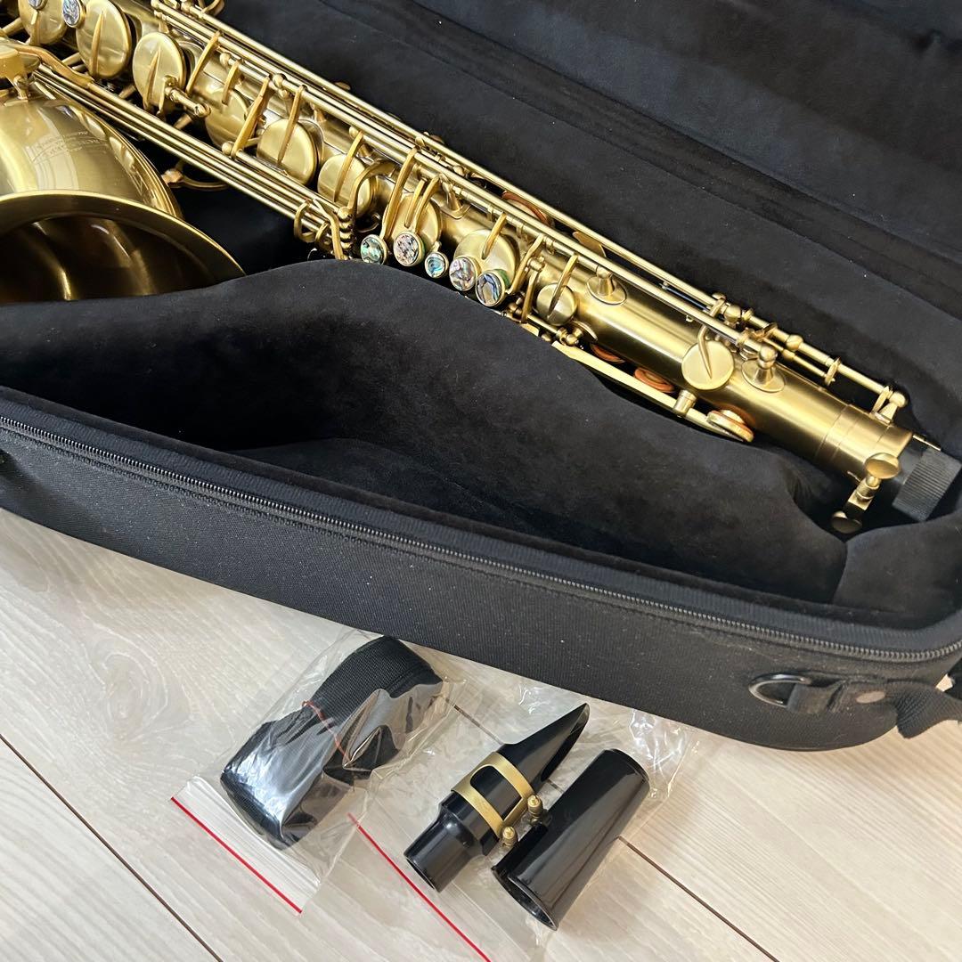 新古品【オーストリア】Schagerl Amadeusサテンテナーサックス