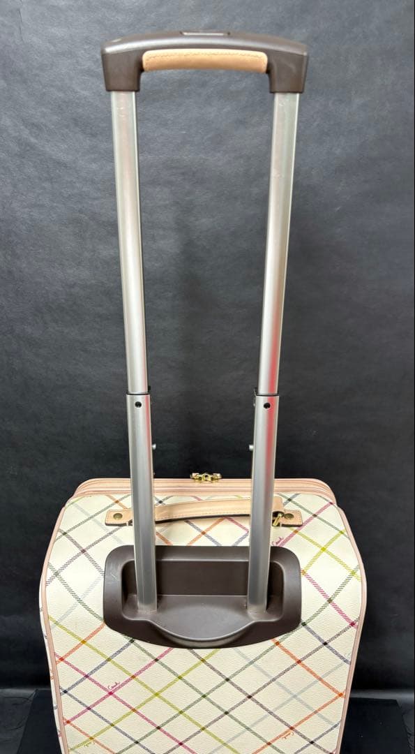 【COACH】ペイトン タッターソール　キャリーケース