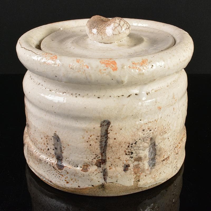 茶道具　志野焼　絵志野　鉄絵　花草文　水指　時代箱付　V　R6156B