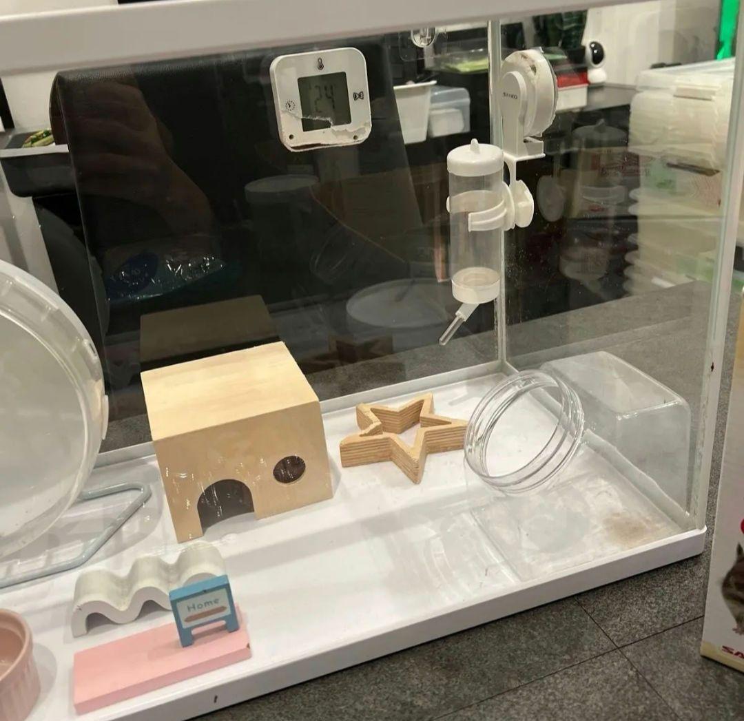 サイズは横60縦36奥行き29cm　大きいケージ　ハムスターお迎えセット