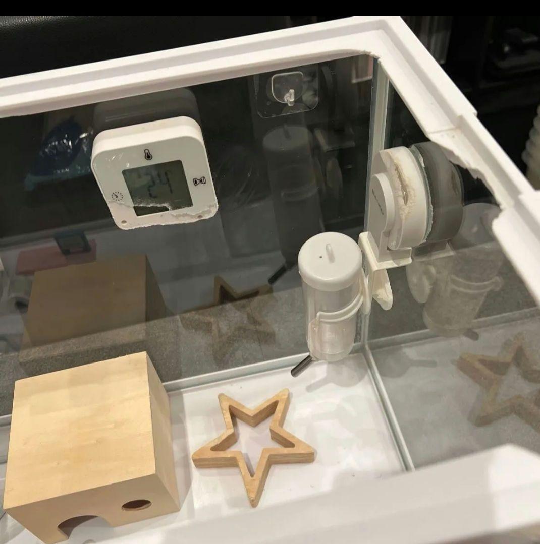 サイズは横60縦36奥行き29cm　大きいケージ　ハムスターお迎えセット