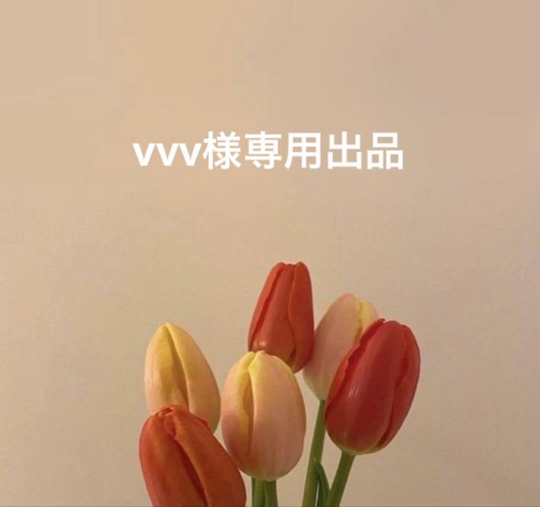 vvv様