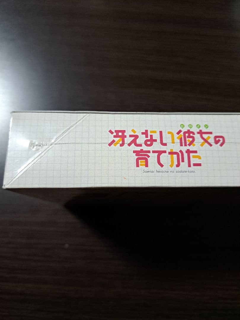 ヴァイスシュヴァルツ　冴えない彼女の育てかた　ブースターパック　未開封BOX