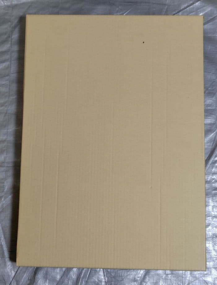 油彩額縁 M10号用 レインボー　金