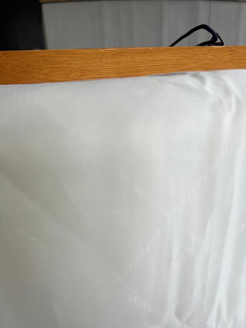 マリーローランサン複製画