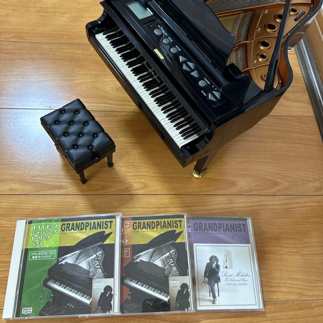 【動作確認済み 稀少品】セガトイズ グランドピアニスト ピアノ おもちゃ