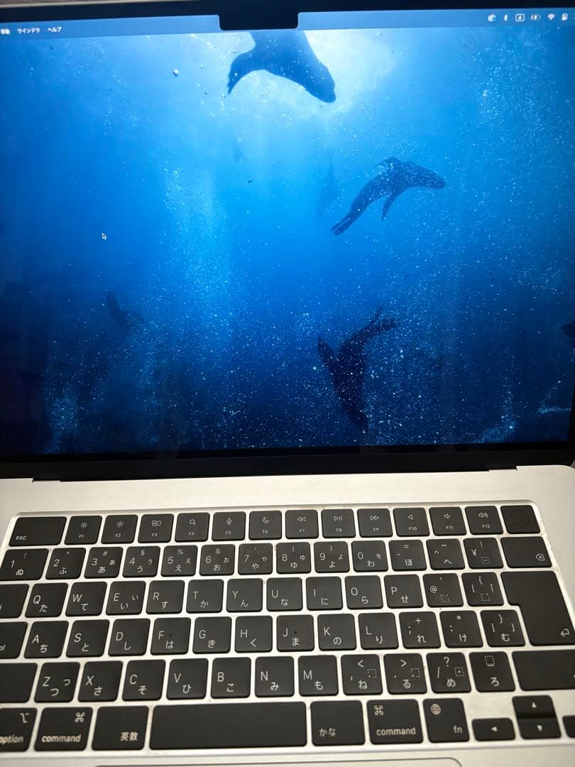 MacBook Air シルバー（15インチ，M3，2024）