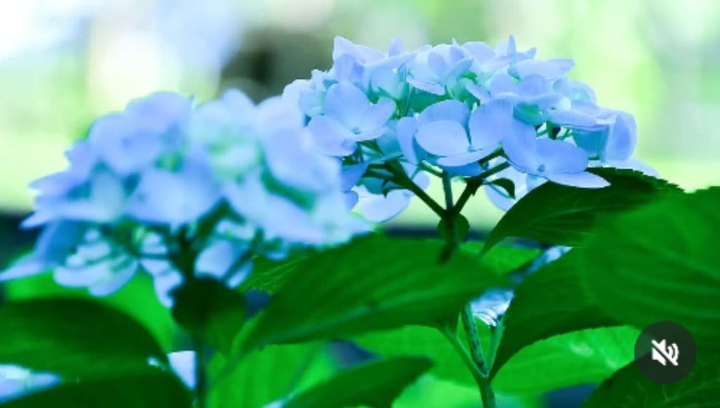 TAMRON　18-400mm　F3.5-6.3 Fマウント　レンズ