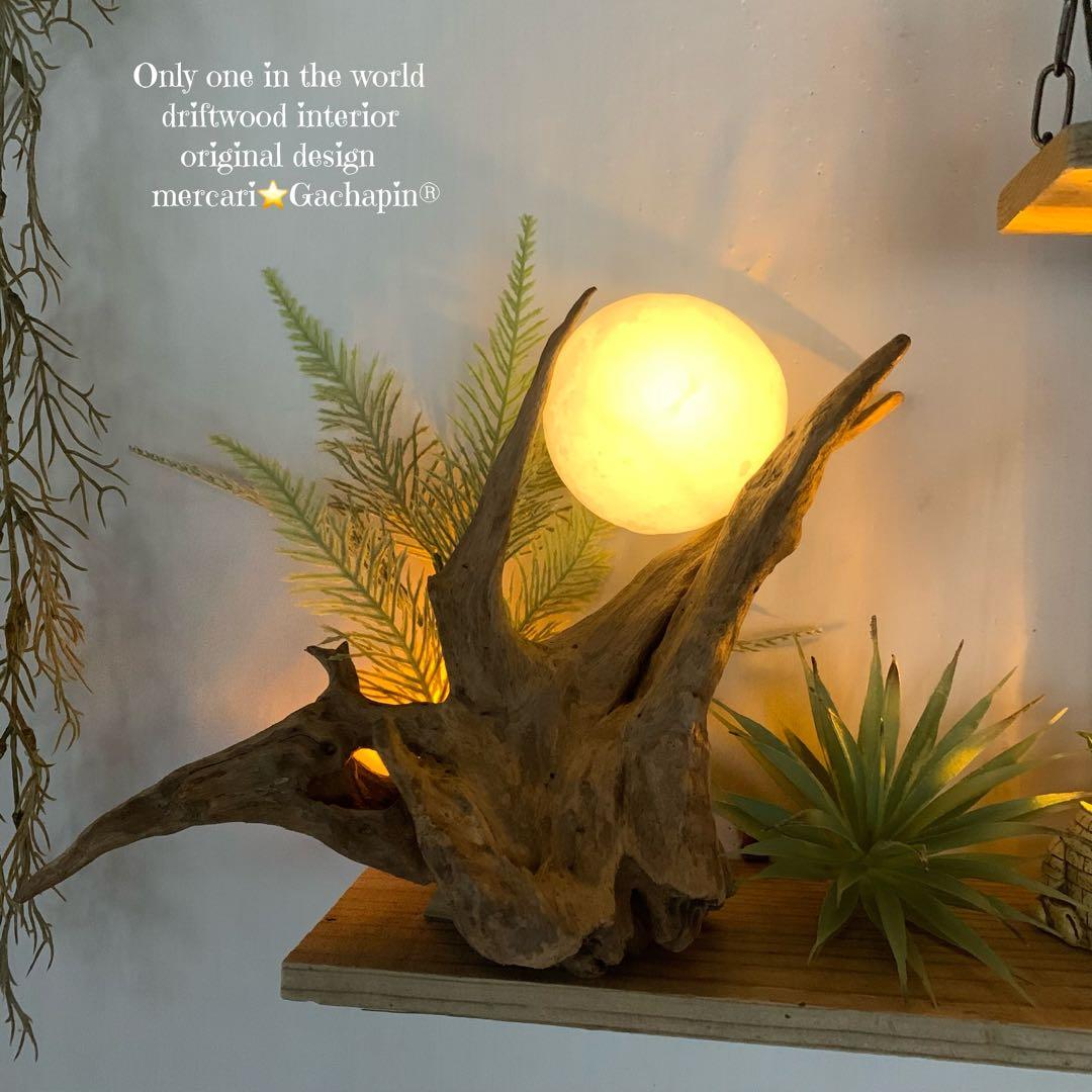 No.623⚜️ムーンライト付き希少流木ウォールシェルフ流木インテリア 流木アート