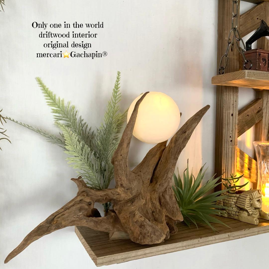 No.623⚜️ムーンライト付き希少流木ウォールシェルフ流木インテリア 流木アート
