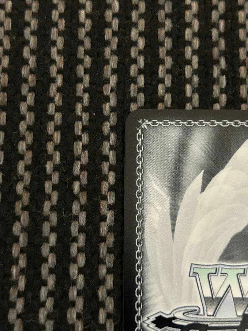 ヴァイスシュヴァルツ　怪獣8号　深夜のトレーニングルーム 保科宗四郎　SSP