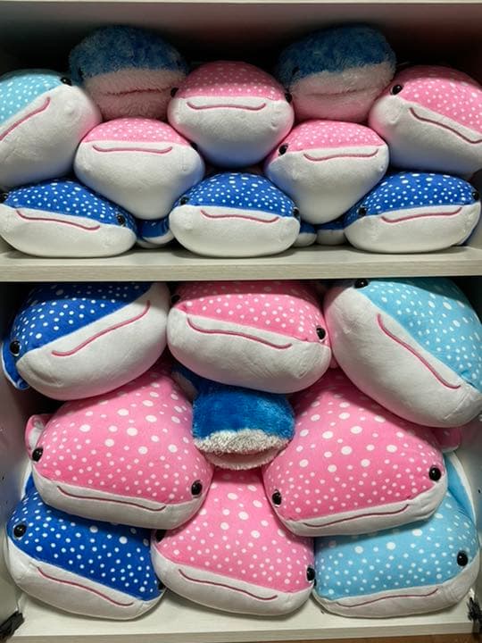 ジンベイザメ ぬいぐるみ