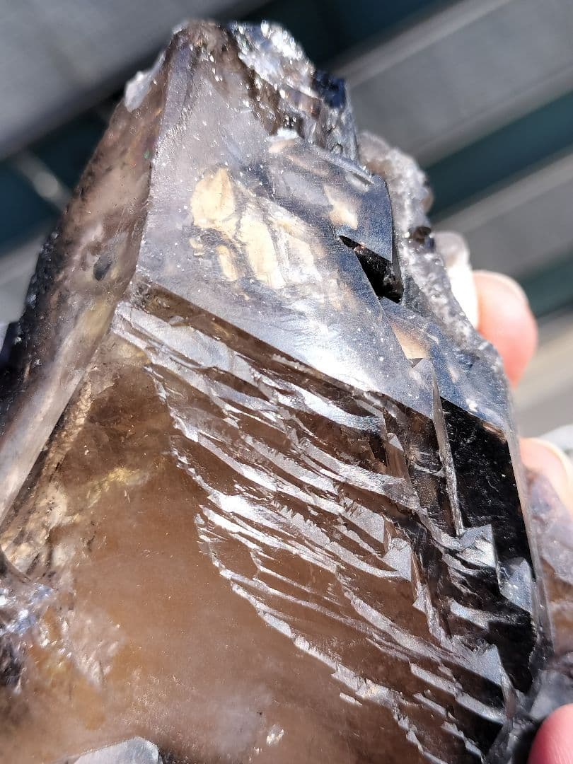 【超特価】スモーキーエレスチャル　金色のきらめき