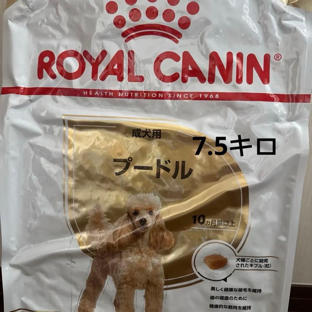 24時間以内発送  CANIN プードル用 ドライフード　7.5キロ！