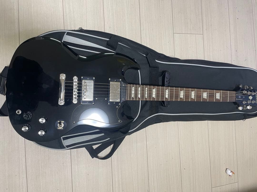 Epiphone ギター