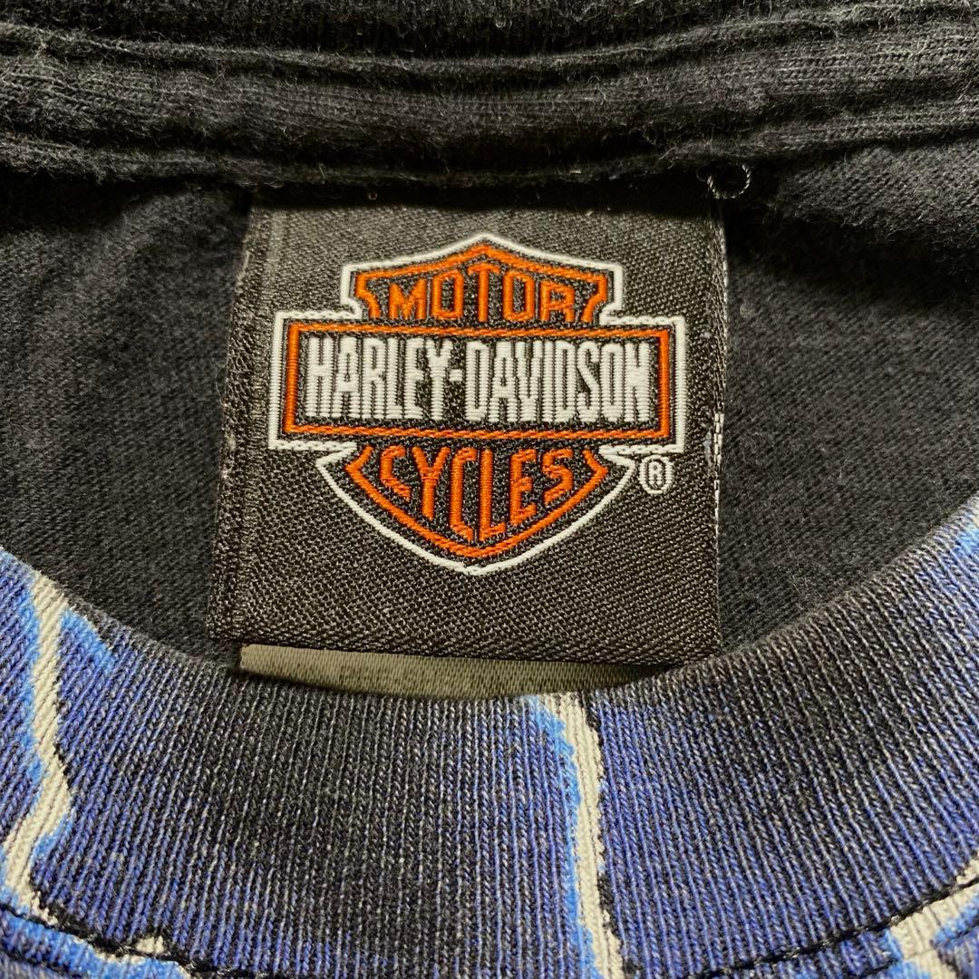 HARLEY DAVIDSON BLUE FLAME Tシャツ ロンT