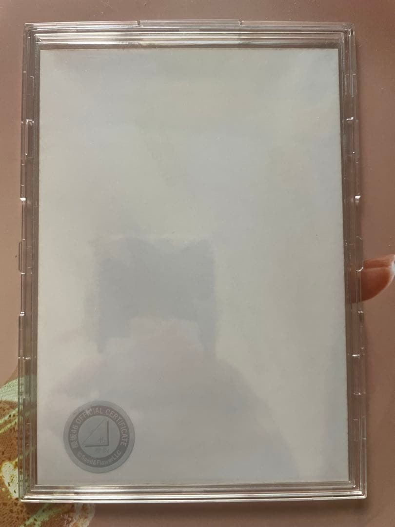 【大幅値下げ】 森田ひかる 櫻坂46「2ndTOUR2022」青衣装 直筆サイン