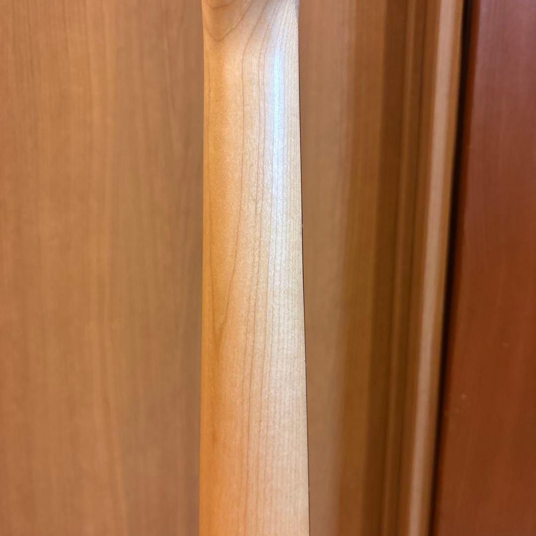 Legend ストラトキャスタータイプ（SSS） トレモロアーム付き