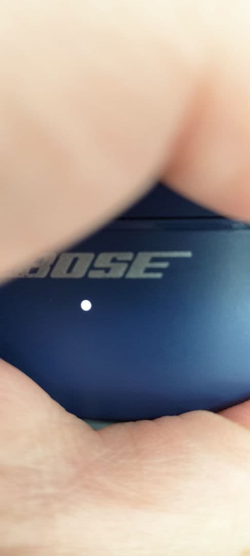 BOSE　ワイヤレスイヤホン収納・充電ケースです。