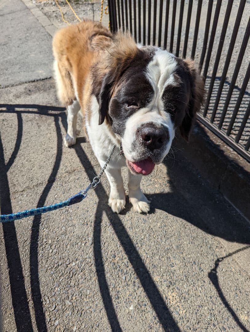 たまお様筆文字専用