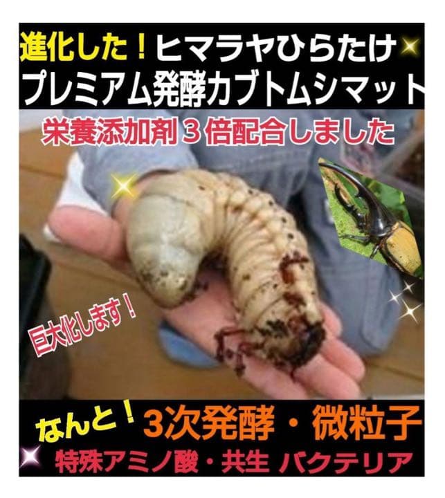 大人気！雑虫がわかない！完全室内製造！極上！プレミアム発酵カブトムシマット　8袋