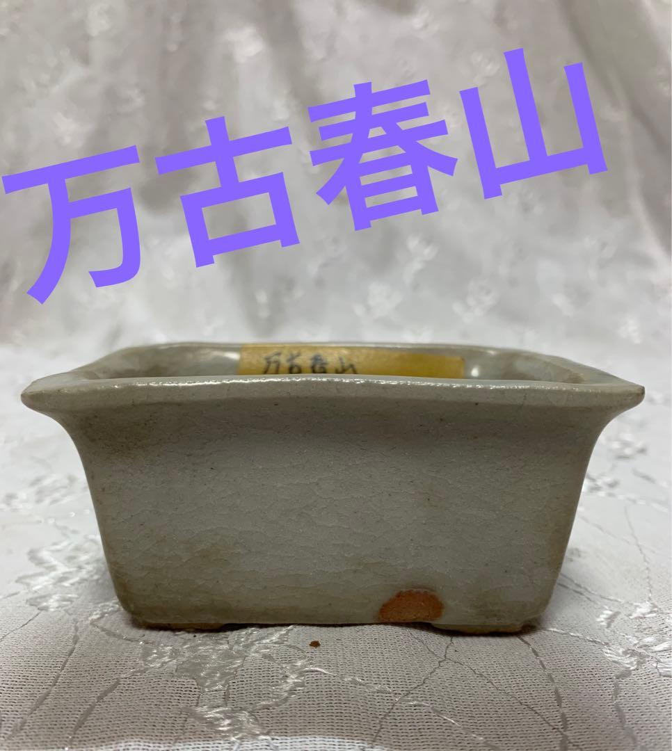 万古春山　長方　盆栽鉢