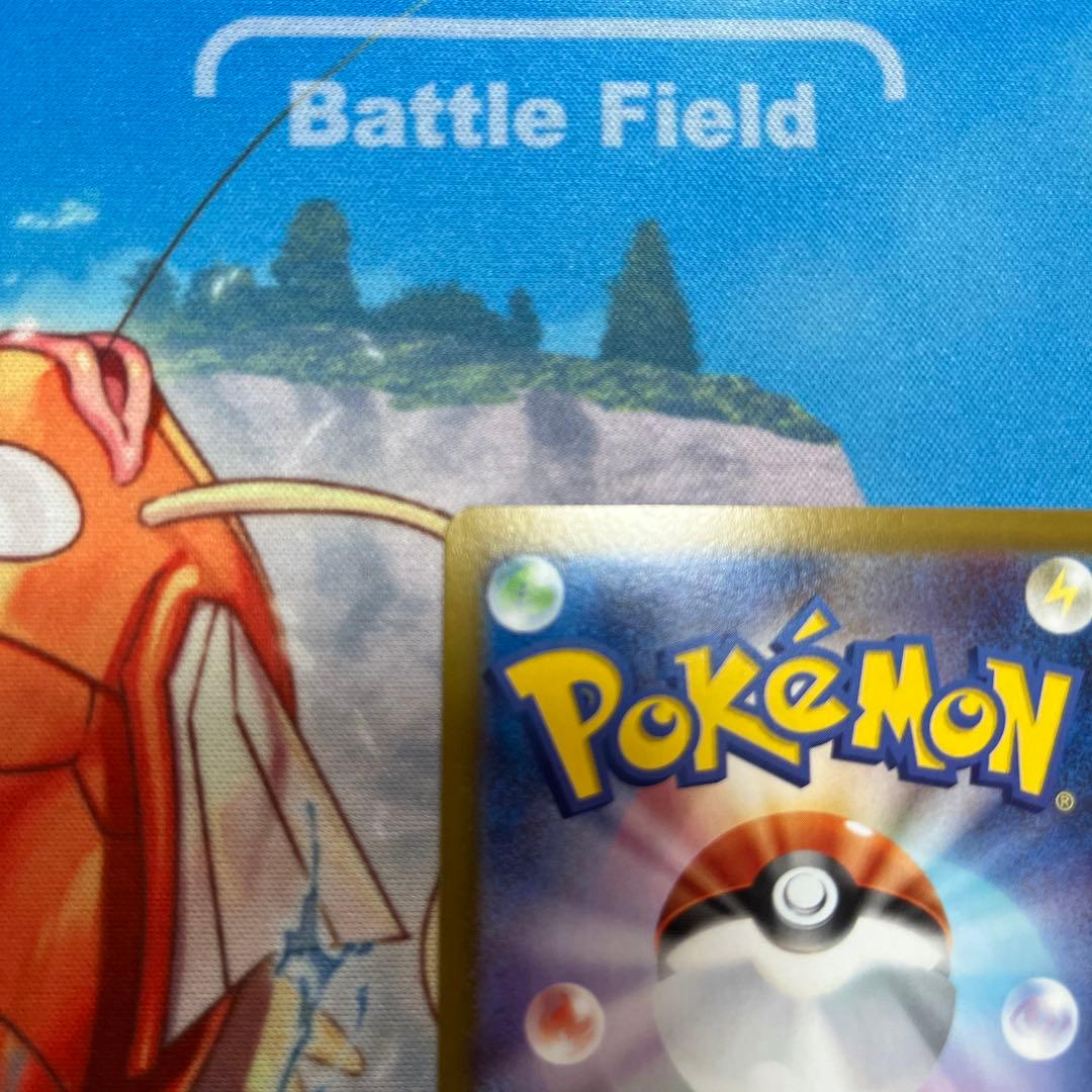 【極美品】ブラッキーex SAR SV8a テラスタルフェスex 217/187