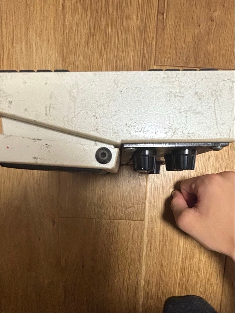 BOSS DD-20 めだか