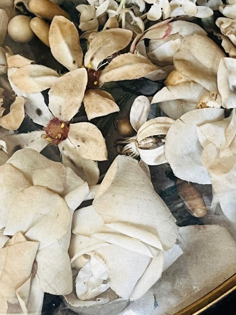 アンティークフランスナポレオンIII グローブドマリエ湾曲ガラスフレーム布花