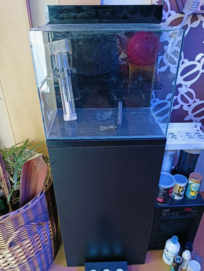 ひ*な様 オルカシェル２水槽