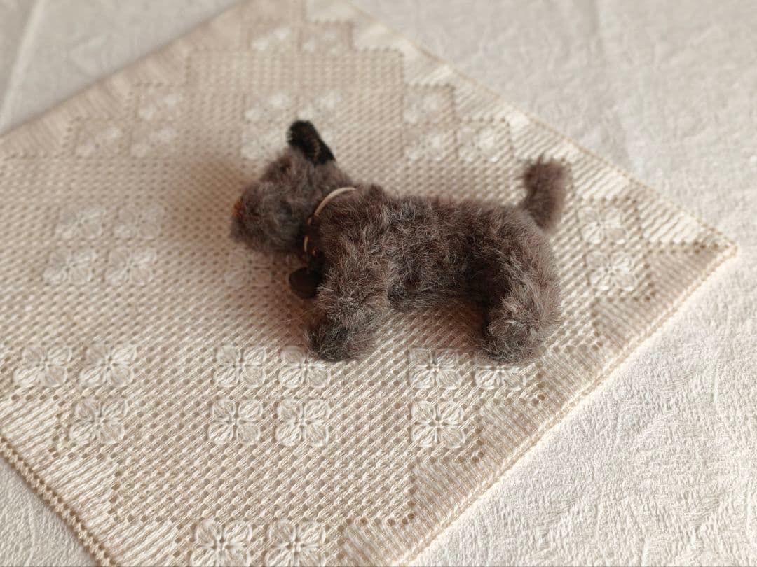 * vintage teria ♡ * シックでかわいい 革ベルトの テリアさん