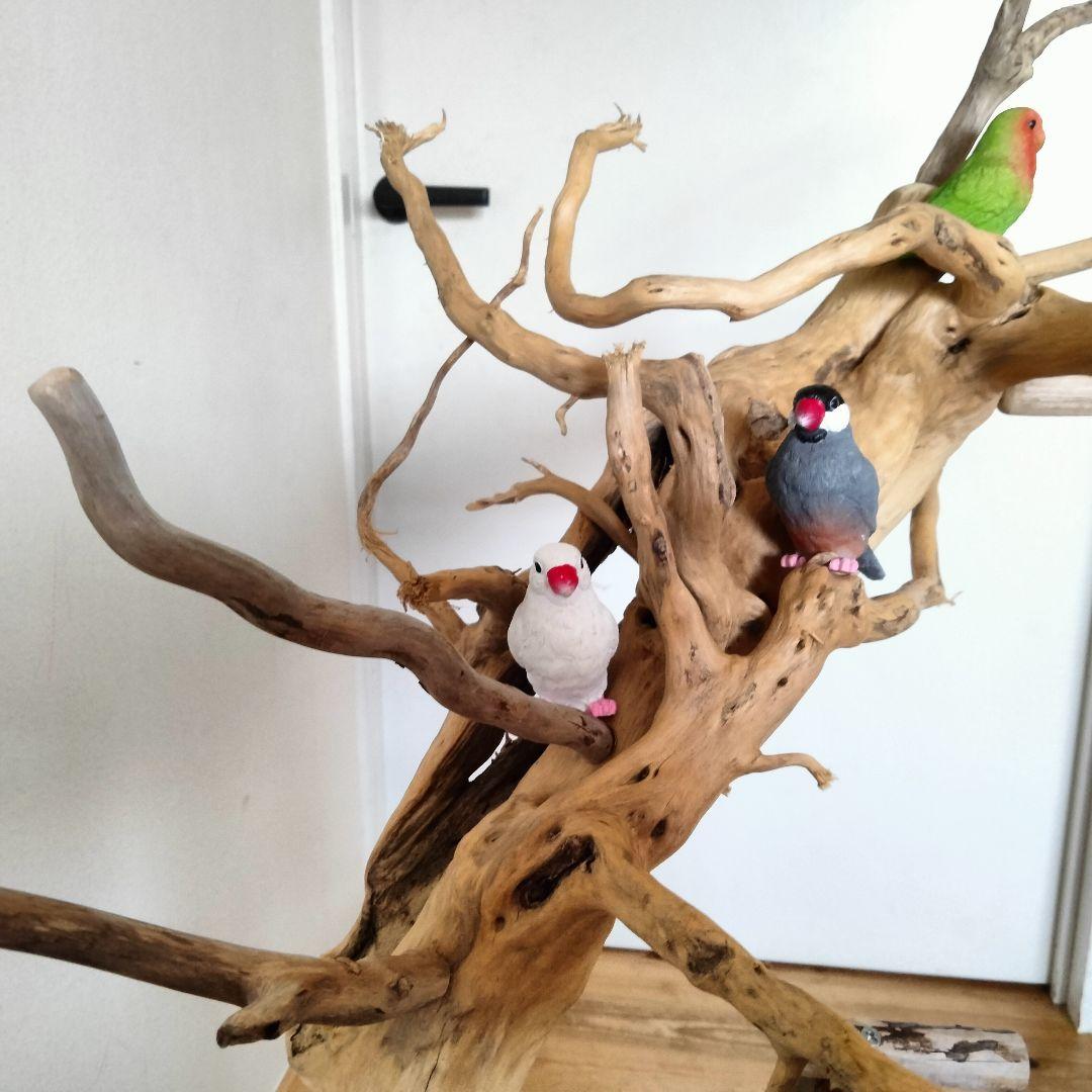 おつぶバードアスレチックジム㊽ 天然木 自然木 流木 止まり木 インコ