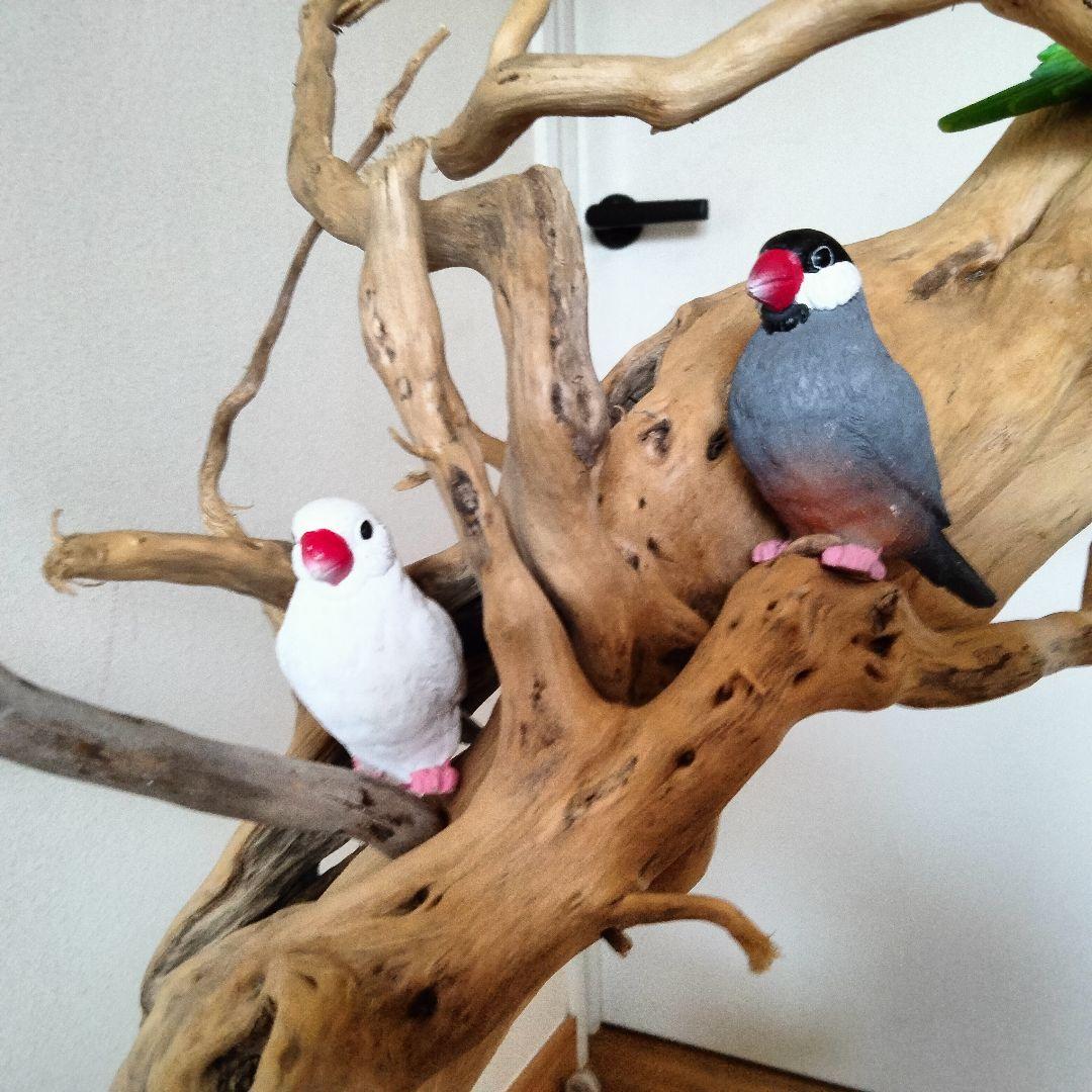 おつぶバードアスレチックジム㊽ 天然木 自然木 流木 止まり木 インコ