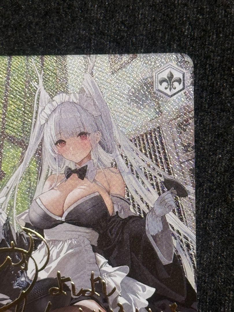 【マグネットローダー付き】ヴァイス　四万十　sp