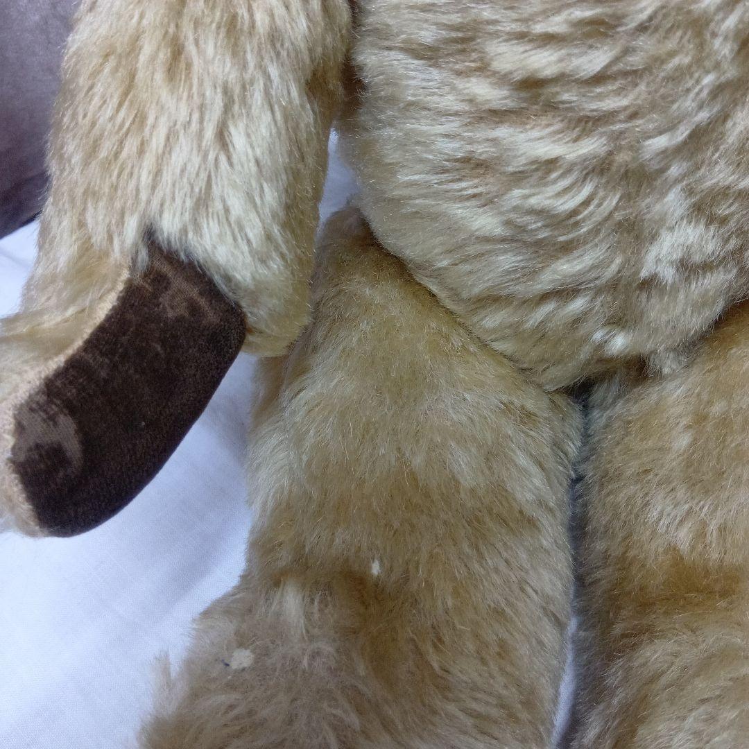 チコちゃん♥イギリスからやって来たクリクリお目目のアンティークチャドバレー