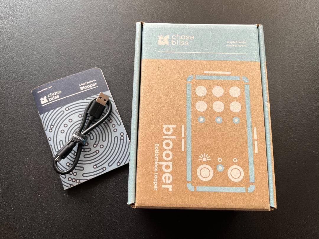 ギター Chase Bliss Audio Blooper