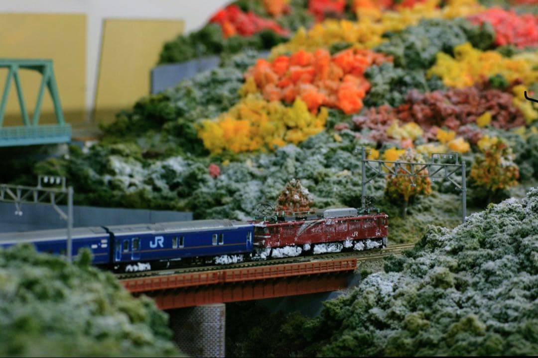 F*V様 KATO 24系北斗星 混成編成TOMIXEF81-133号機（精密加