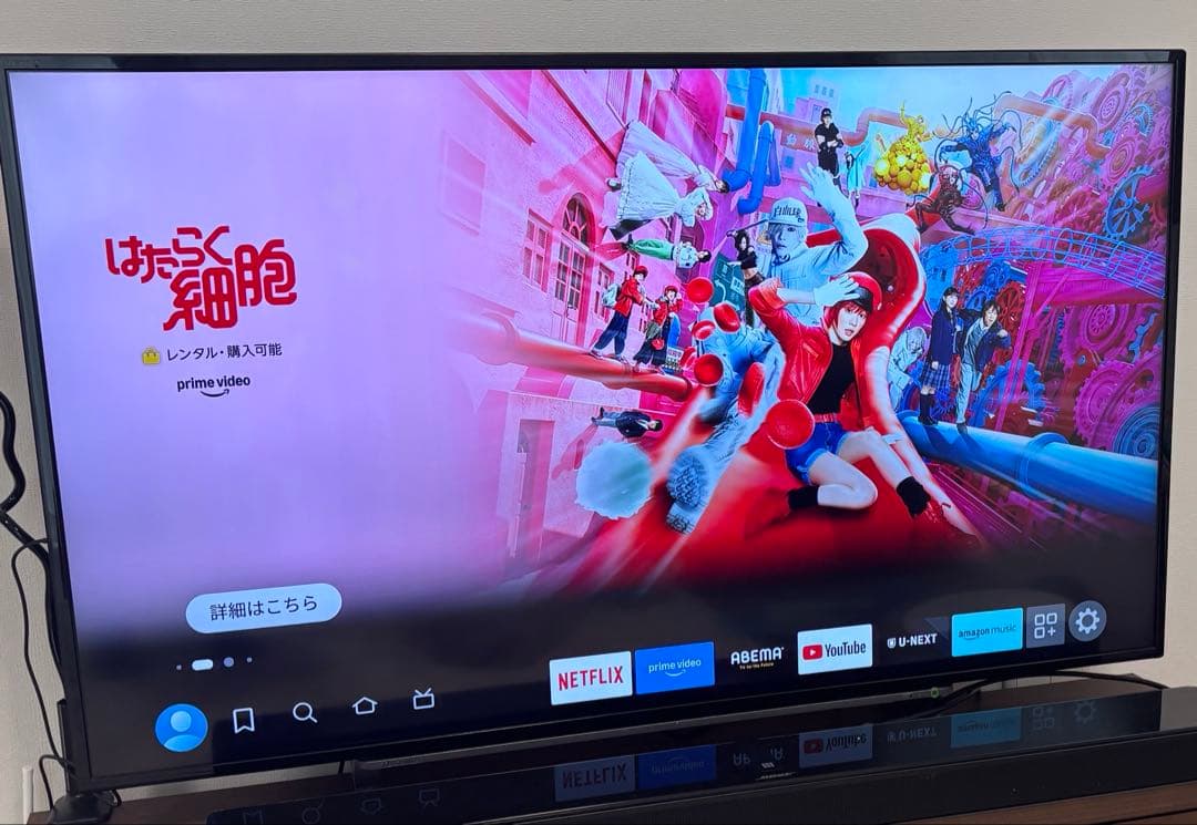 東芝　レグザ　REGZA 4K 49インチ　49型　テレビ　49G20X