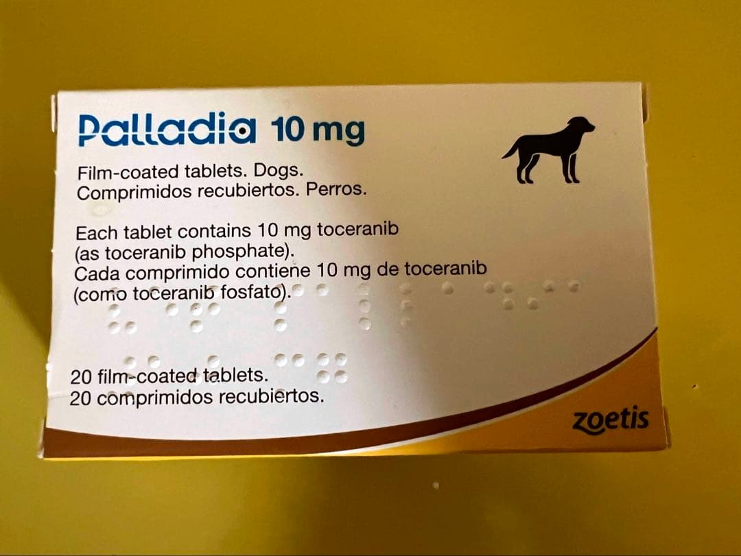 パラディア錠　10mg