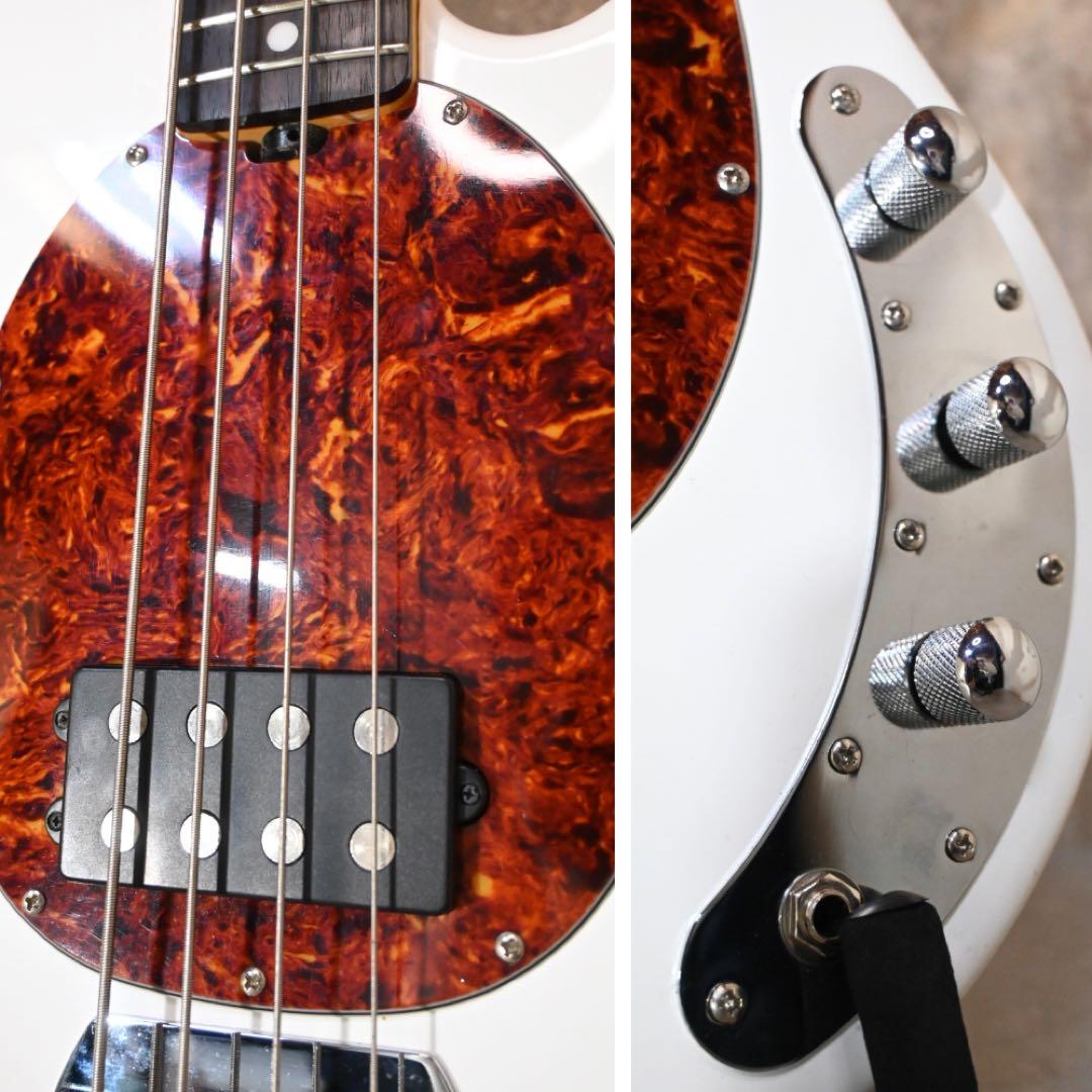 Sterling SUB StingRay Ray4 パッシブ変更