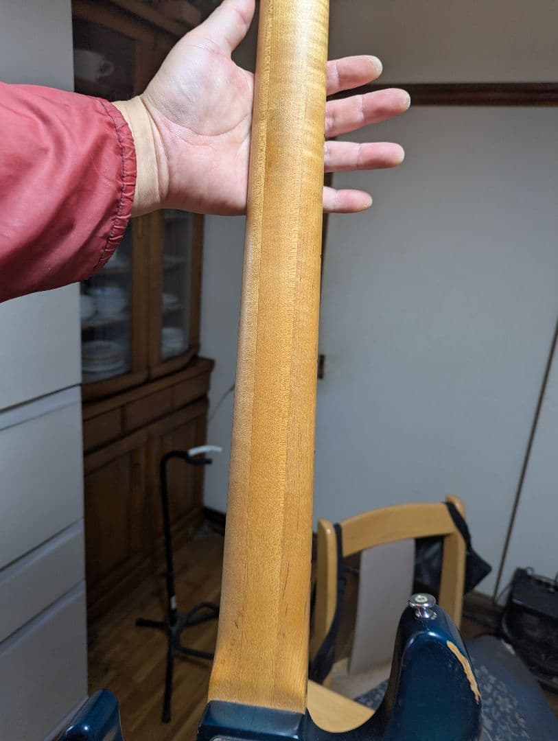 Bacchus5弦パッシブジャズベース　ハンドメイドWOODLAND日本製中古品