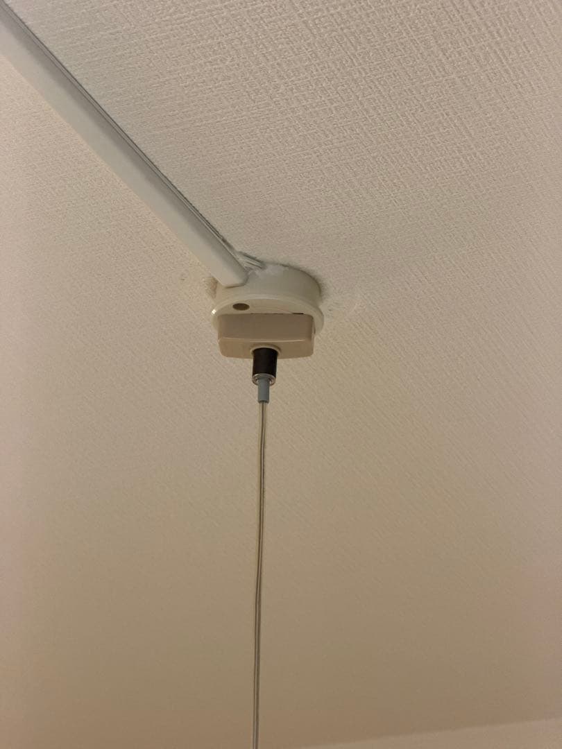 【ルイスポールセン】　内山章一　エニグマ　ペンダントライト　正規品